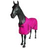 Síťovaná deka Equitheme ECLAT růžová