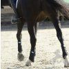 Univerzální kamaše Equilibrium Stretch & Flex Flatwork Wrap modré