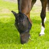 Maska proti hmyzu EQUITHEME fine černá