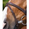 Uzdečka RW tm. hnědá