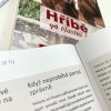 Kniha: Hříbě od vlastní klisny (Karin Kattwinkel)