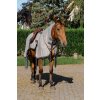 400703063 ambi 2 web
