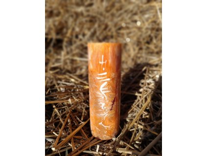 Ohnivý kůň - střední 1