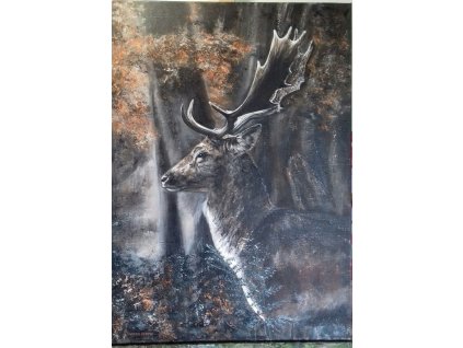 3745 polovnicky obraz daniel 50 x 70 cm