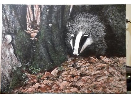 3757 polovnicky obraz jazvec 50 x 70 cm