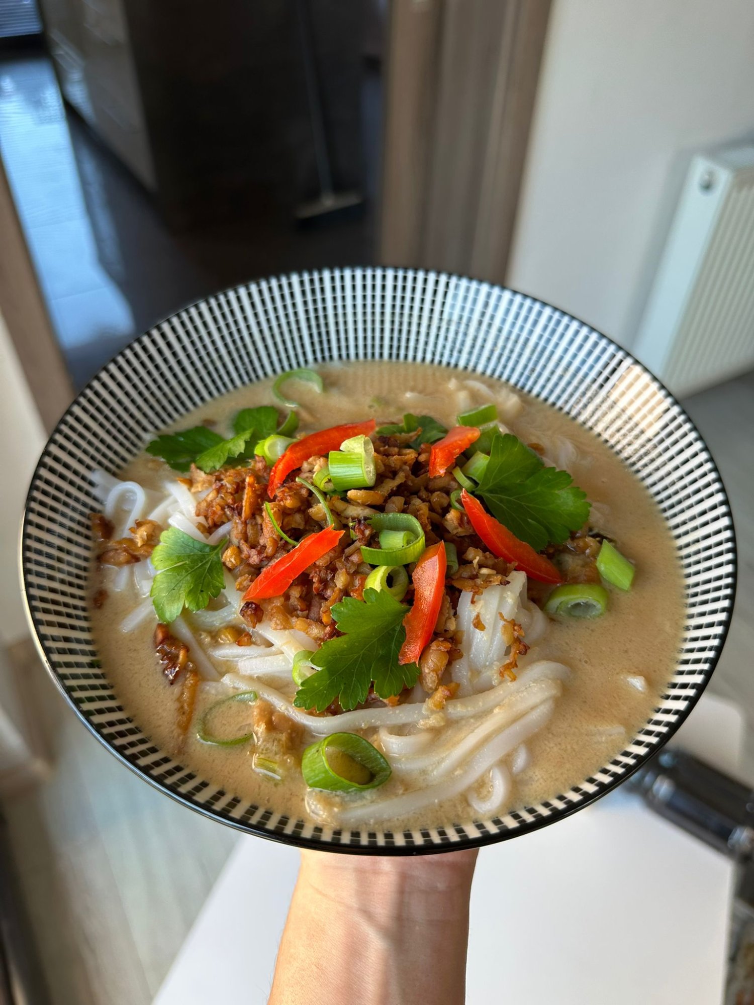 Křupavý tempeh ramen s arašídovým vývarem