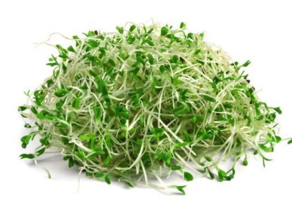 Alfalfa vojtěška (lucerna setá) - semínka na klíčení 100 g BIOMISKA