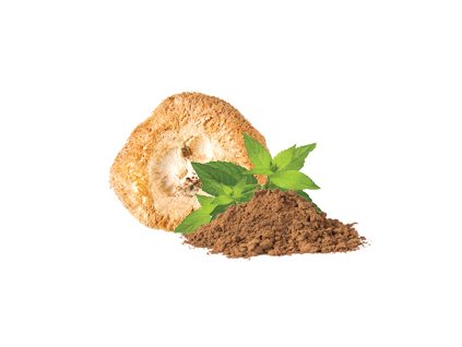 Mycomedica Hericium prášek BIO 100 g MYCOMEDICA