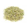 Brokolice - semínka na klíčení 100 g BIOMISKA