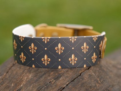 Slim-Chic 38/25 mm BioThane® s designem PrintThane® Fleur de Lis, obvod krku 34 - 38 mm