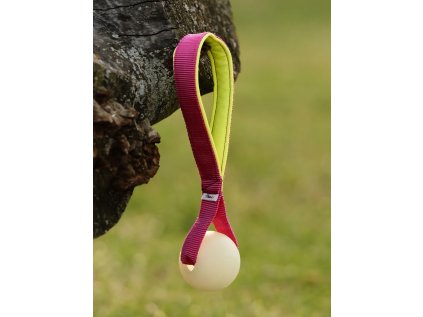 Míček Chuckit! Glow s ručkou