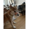 Kovový náhubek - shiba-inu