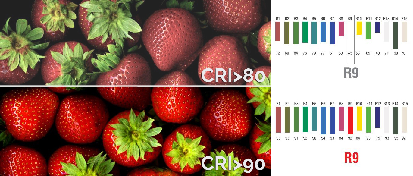 CRI - Farbindex - Warum er für Ihre Beleuchtung wichtig ist