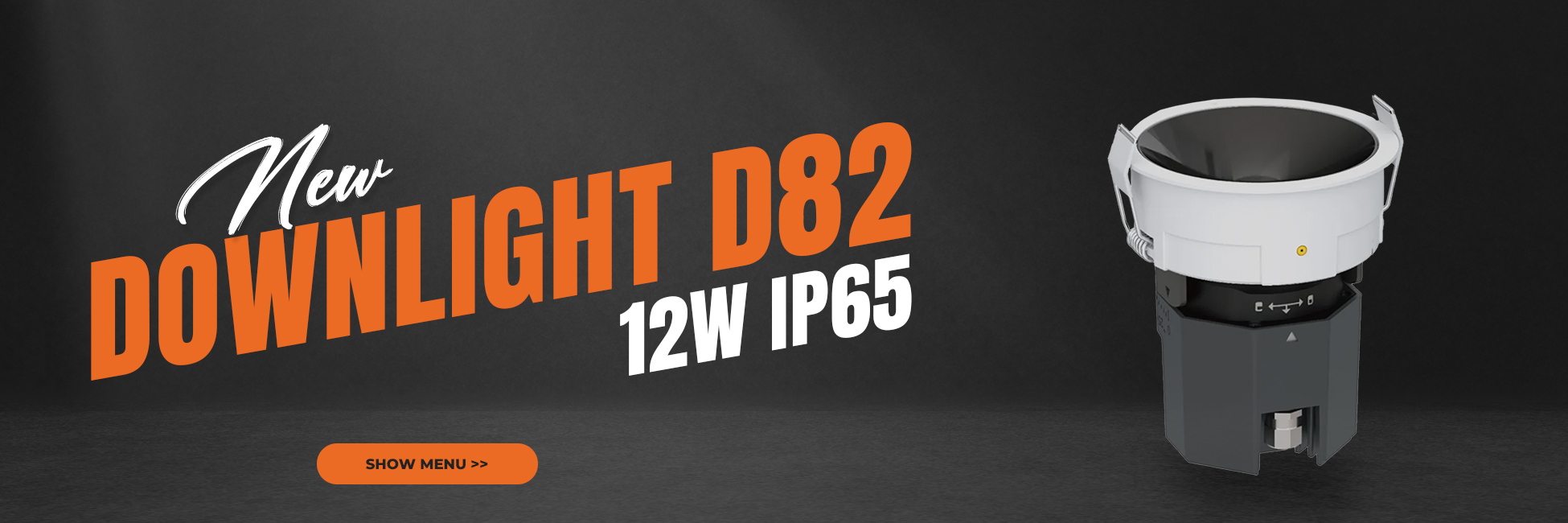 Downlight D82
