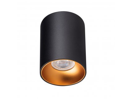 Angesetzte Spotleuchte 24V Dual White RITI GOLD 8W