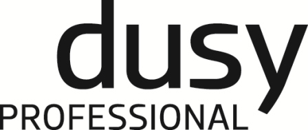 dusyPROF_logo