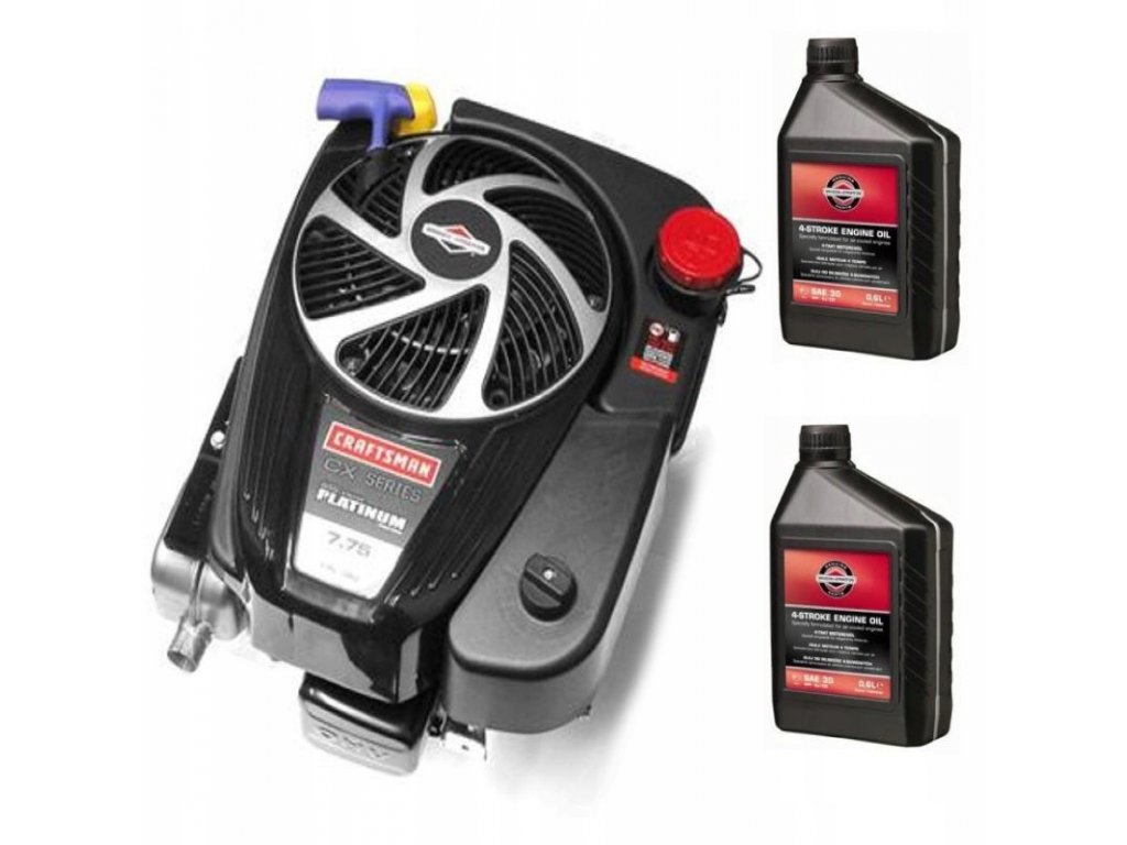 Profesionalny motor 70mm serie Briggs Stratton 775