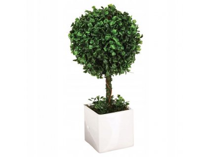 Umelý krušpán/buxus v kvetináči 18 cm VYPR