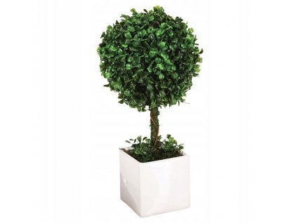 Umelý krušpán/buxus v kvetináči 18 cm