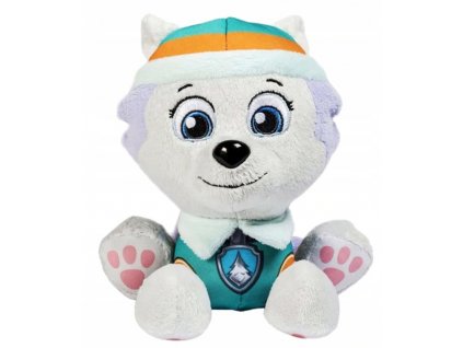 Maskot PAW Patrol Tlapková patrola Everest 20 cm PLYŠOVÝ VYPR