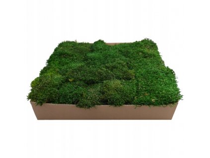 Dekoračný mach v kartónovej krabici Moss PREMIUM Forest Green