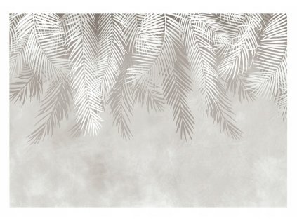 Fototapeta Pierko/palmové listy 416x254 cm BÉŽOVÁ VYPR