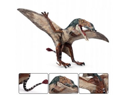 Jurassic Dinosaur World Model Pterodaktyl Model