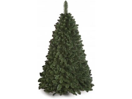 675f3a6b45858e296395cf89552e