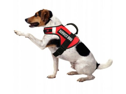 975dd5544cad89397d89dc81884d