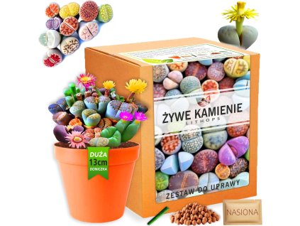 Zestaw do uprawy roslin Zywe Kam