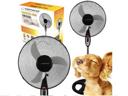 Snímka obrazovky 2024 08 13 133248