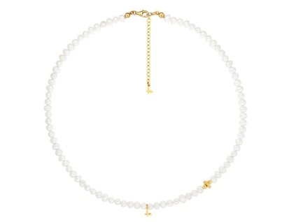 Snímka obrazovky 2024 08 21 125024