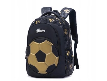 Snímka obrazovky 2024 08 21 132447