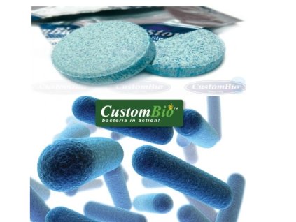 Snímka obrazovky 2024 09 11 095806