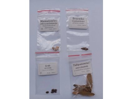 Snímka obrazovky 2024 10 29 120424