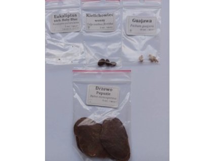 Snímka obrazovky 2024 10 29 121002