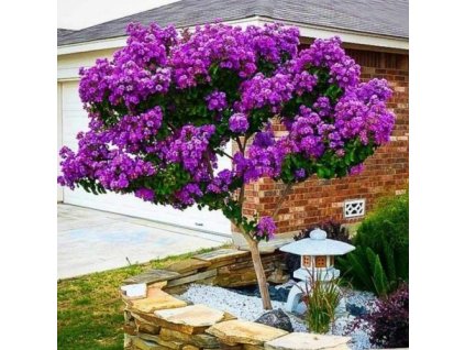 Snímka obrazovky (36)