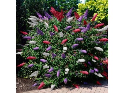 Snímka obrazovky (399)