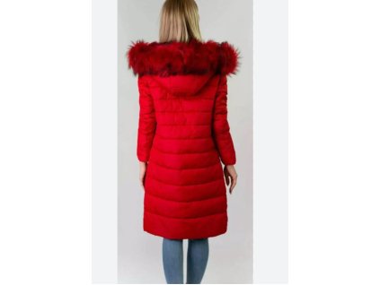 Snímka obrazovky 2025 01 17 124920