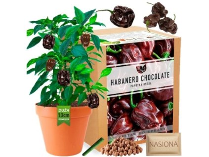 Snímka obrazovky 11 3 2025 12470 allegro.pl