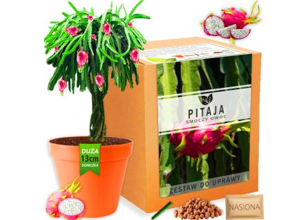 Súprava na pestovanie rastlín Pitaya Semená