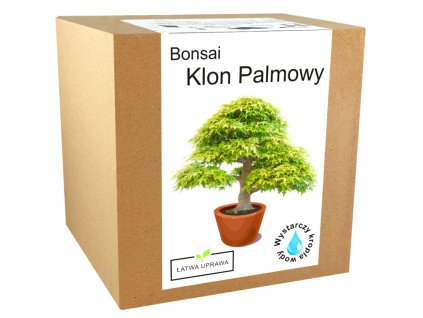 Súprava na pestovanie bonsajov - javorový palmový list VYPR