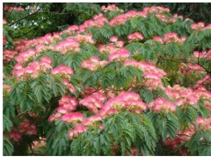 Snímka obrazovky 4 6 2025 111424 allegro.pl