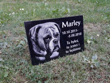 Čierna žula headstone pre psa, mačku so klin_0
