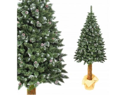 Vianočný stromček na pni 180 cm_0