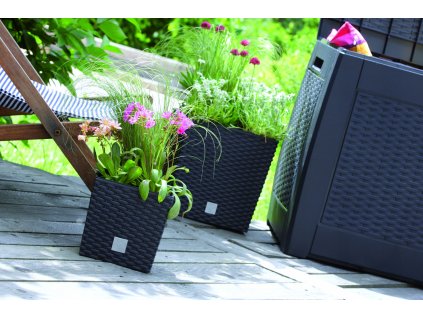 Kvetináč na terasu - Prosperplast rato nízko DRTS400L UMBRA POT_1