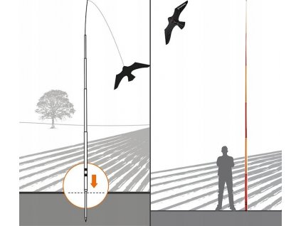 ROZDIELY SCARYBIRD A SEDLO SCARYBIRD 9m_0