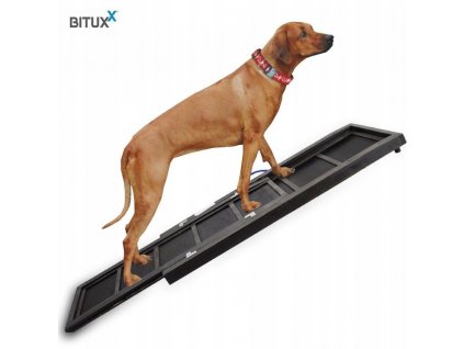 Rampa, lávka, pristátie, schodisko, rebrík pre psa_0