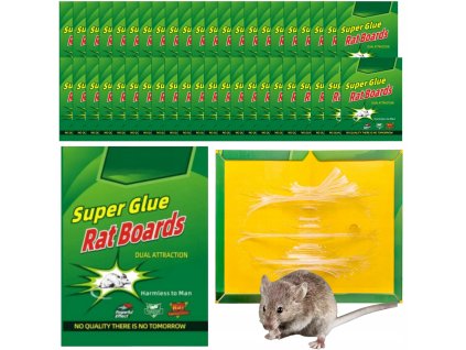 a3a35b0c4d24820c8f5b2e79f844