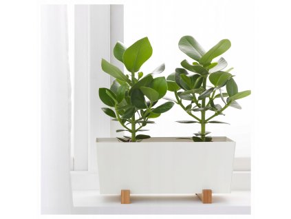 Kvetináč na terasu - Obdĺžnikové kvetináče pre 3 bylinky kvety_6